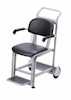 HealthOMeter 595KL Handrail Scale