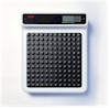 Seca 770Medical Scale