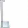 Seca 719 Supra Digital Bathroom Scale, 400 x 0.2 lb Made in USA 