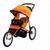 Schwinn 13