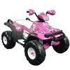 Peg Perego IGOD0054 Polaris Trail Princess 12 Volt Ride On Made in USA 