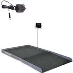 Rice Lake SB-1150-AC Summit Bariatric Wheelchair Scale with AC Adapter, 1000 x 0.2 lb