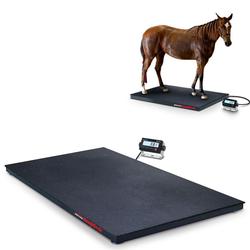 Rice Lake 231030 EQ  Roughdeck 48x72 Single Animal Livestock Scale 2500lb x 0.5lb